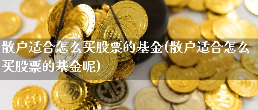 散户适合怎么买股票的基金(散户适合怎么买股票的基金呢)_https://www.fsntr.com_K线分析_第1张