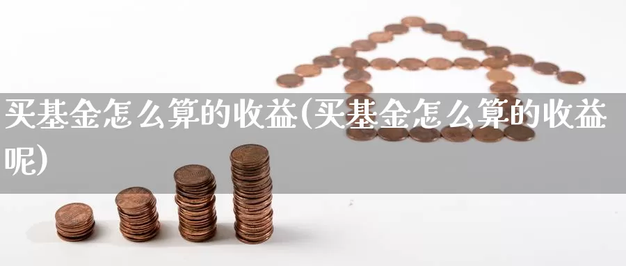 买基金怎么算的收益(买基金怎么算的收益呢)_https://www.fsntr.com_股票观测_第1张