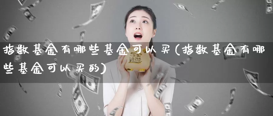 指数基金有哪些基金可以买(指数基金有哪些基金可以买的)_https://www.fsntr.com_K线分析_第1张