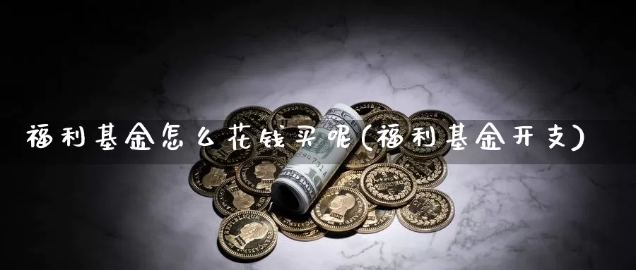 福利基金怎么花钱买呢(福利基金开支)_https://www.fsntr.com_K线分析_第1张