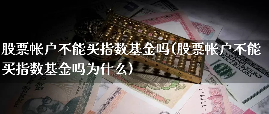 股票帐户不能买指数基金吗(股票帐户不能买指数基金吗为什么)_https://www.fsntr.com_K线分析_第1张