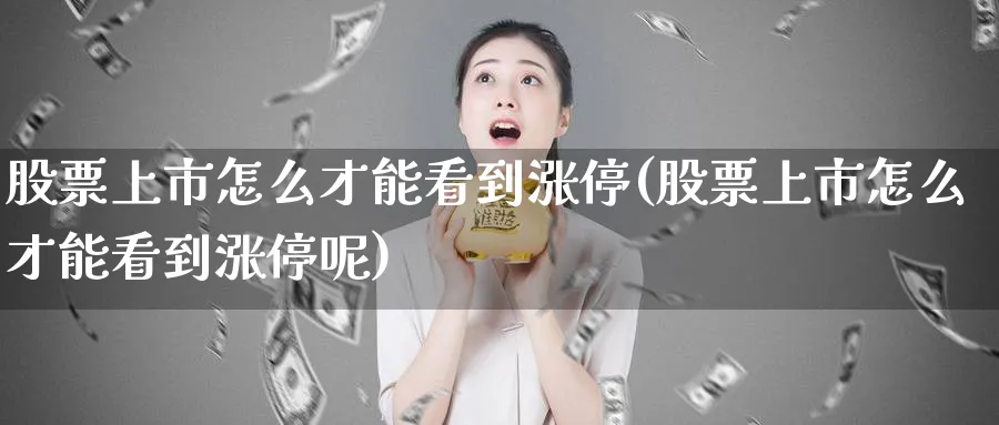 股票上市怎么才能看到涨停(股票上市怎么才能看到涨停呢)_https://www.fsntr.com_股票观测_第1张