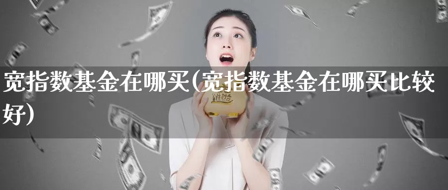 宽指数基金在哪买(宽指数基金在哪买比较好)_https://www.fsntr.com_K线分析_第1张