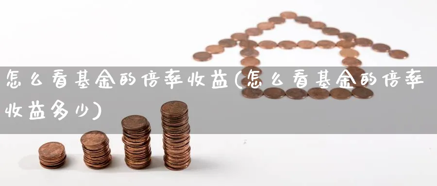 怎么看基金的倍率收益(怎么看基金的倍率收益多少)_https://www.fsntr.com_基金中心_第1张