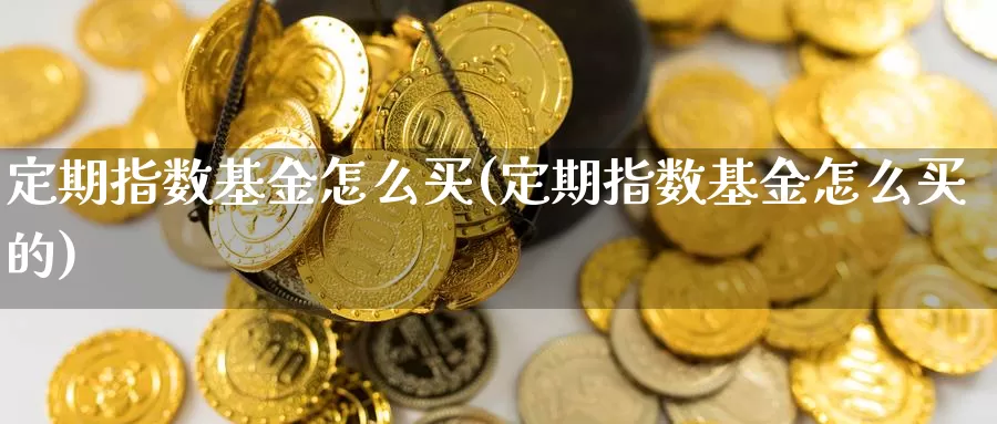 定期指数基金怎么买(定期指数基金怎么买的)_https://www.fsntr.com_股票观测_第1张