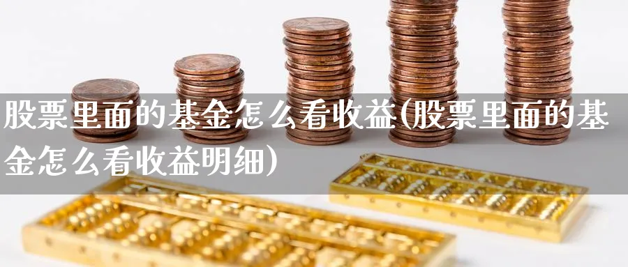 股票里面的基金怎么看收益(股票里面的基金怎么看收益明细)_https://www.fsntr.com_基金中心_第1张