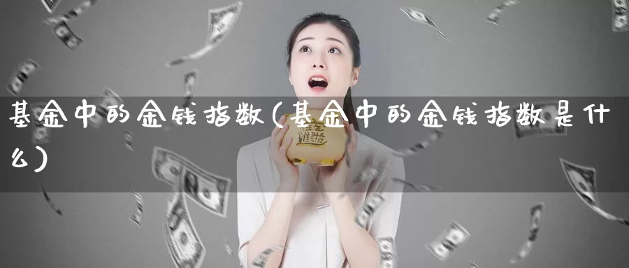 基金中的金钱指数(基金中的金钱指数是什么)_https://www.fsntr.com_K线分析_第1张