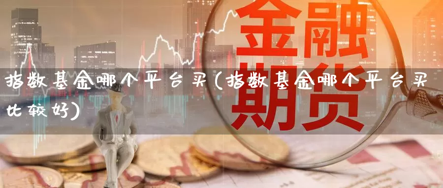 指数基金哪个平台买(指数基金哪个平台买比较好)_https://www.fsntr.com_股票观测_第1张