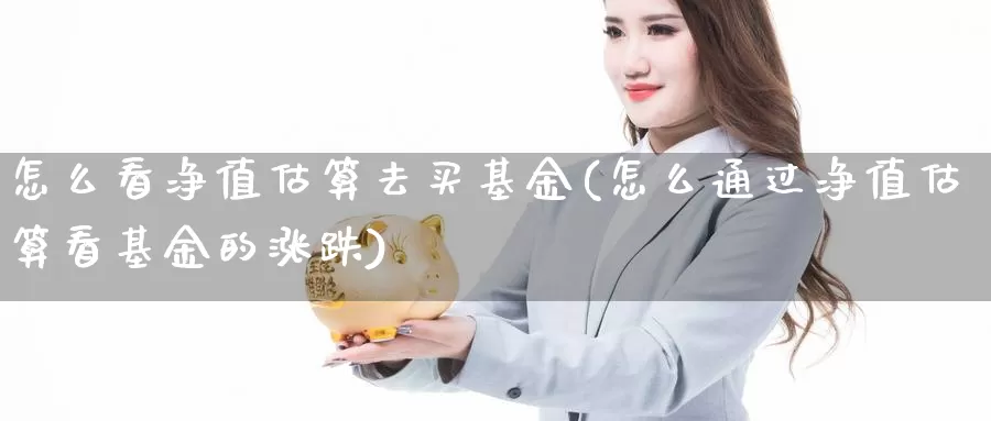 怎么看净值估算去买基金(怎么通过净值估算看基金的涨跌)_https://www.fsntr.com_K线分析_第1张